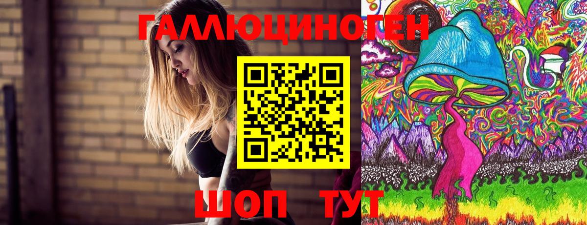 Галлюциногенные грибы Psilocybe  Вход с VPN  Котовск 